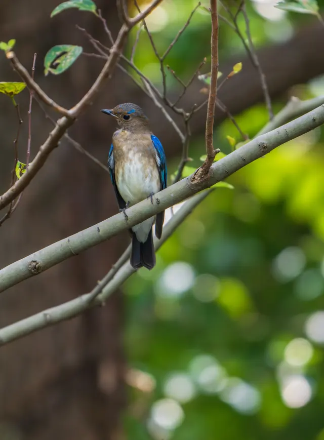 野生动物 · Nikon Z8, 600mm, f/6.3, 1/1250s, ISO 2200